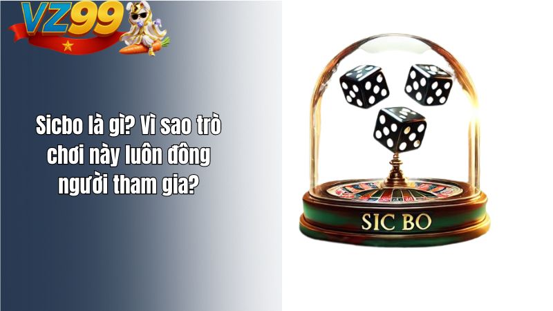Sicbo là gì? Vì sao trò chơi này luôn đông người tham gia?